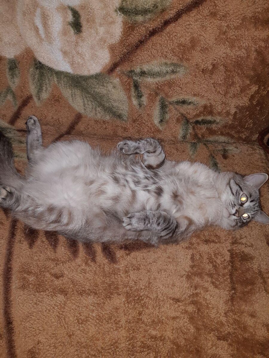 Фото из личной коллекции