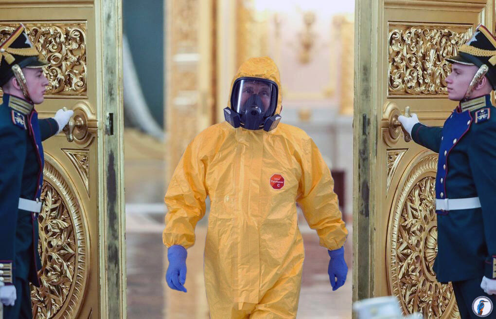 Яндекс картинки 