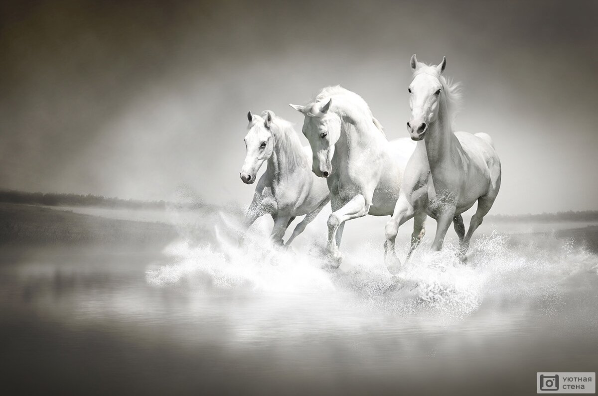 Лошади, бегущие по краю водоема, разбрызгивая воду, привлекают богатство и удачу. 