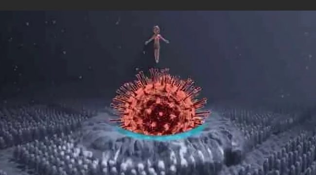 Коронавирус