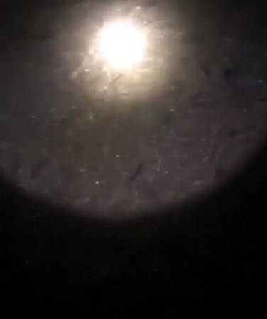 Кадр из видео: Instagram @rybalkasakhalin