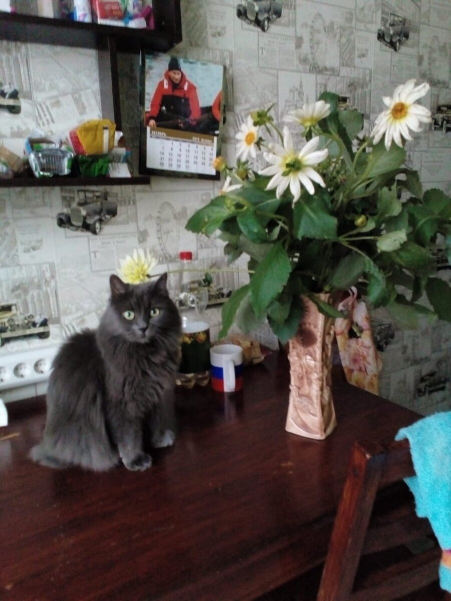 Все дамы любят цветы.