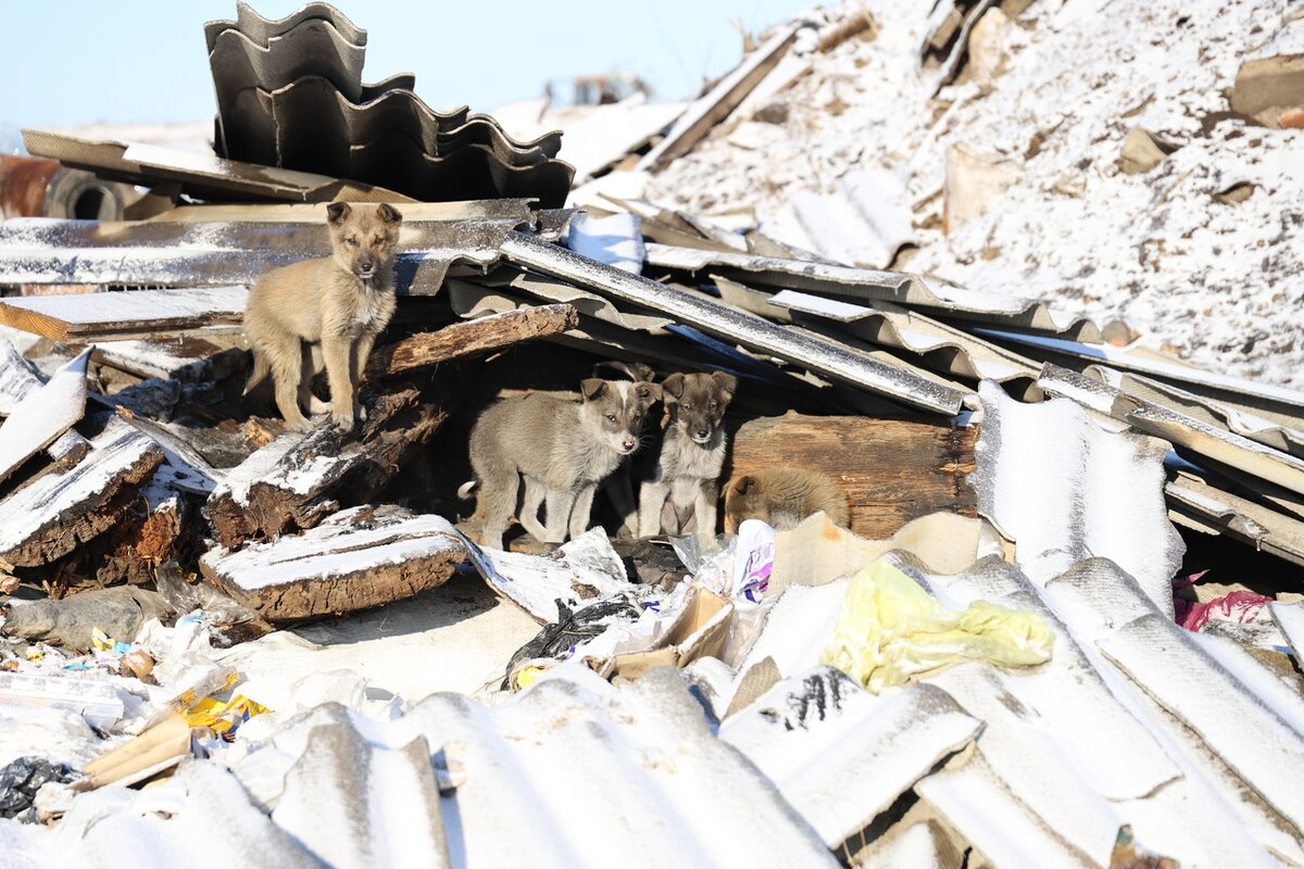 фото со страницы ВК Голышманово: телевидение и радио