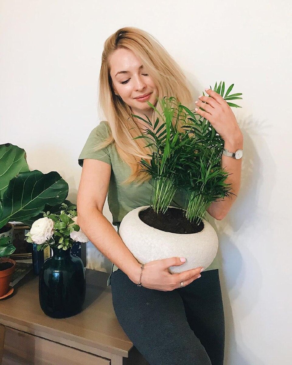 С красоткой хамедореей