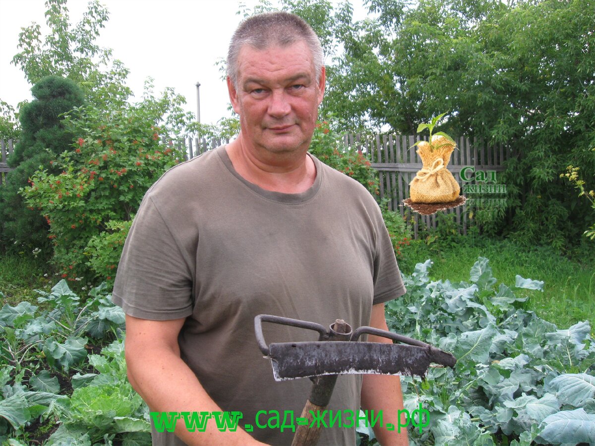 Плоскорез собственного производства