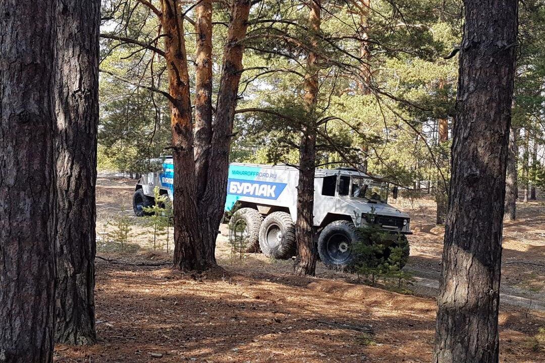 Мужчины в русской броне дерутся в лесу