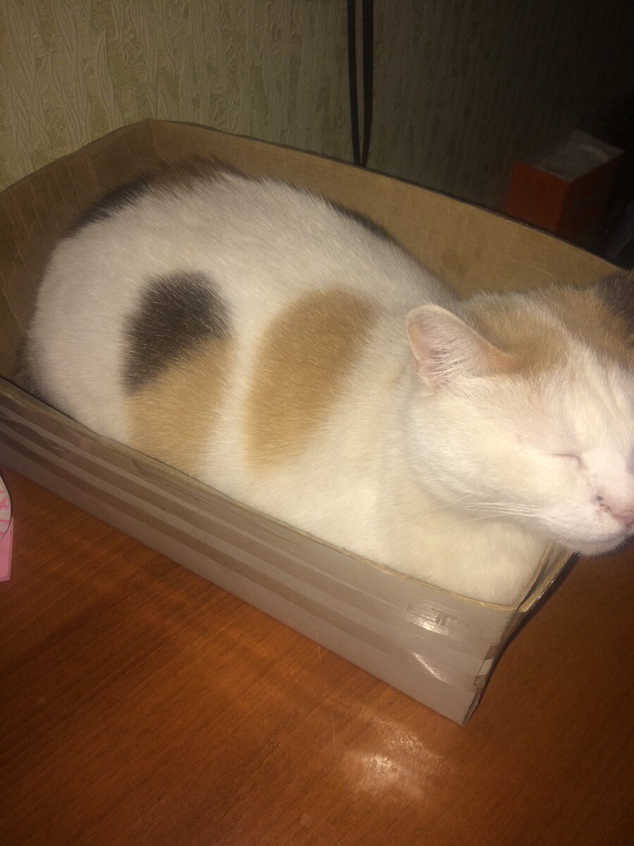 Соня 
