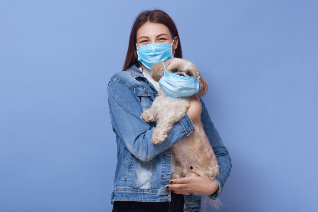 Могут ли пострадать  домашние животные или же наоборот, заразить человека? 