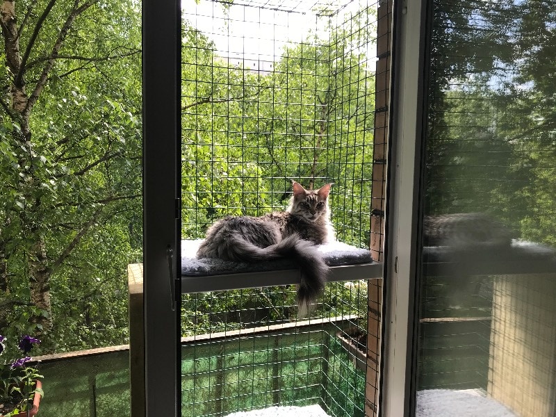 фото Яндекс