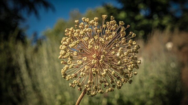 Из открытых источников.