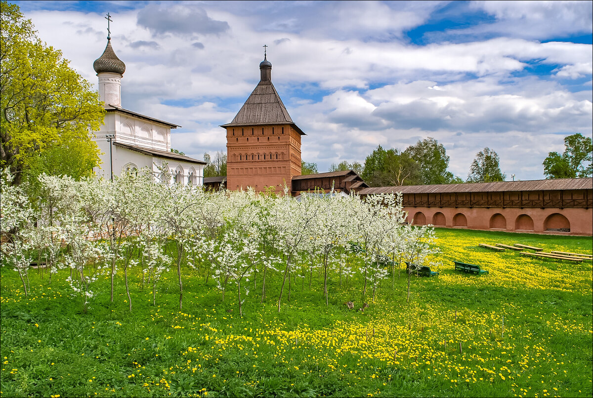 Спасо-Евфимиев монастырь осень