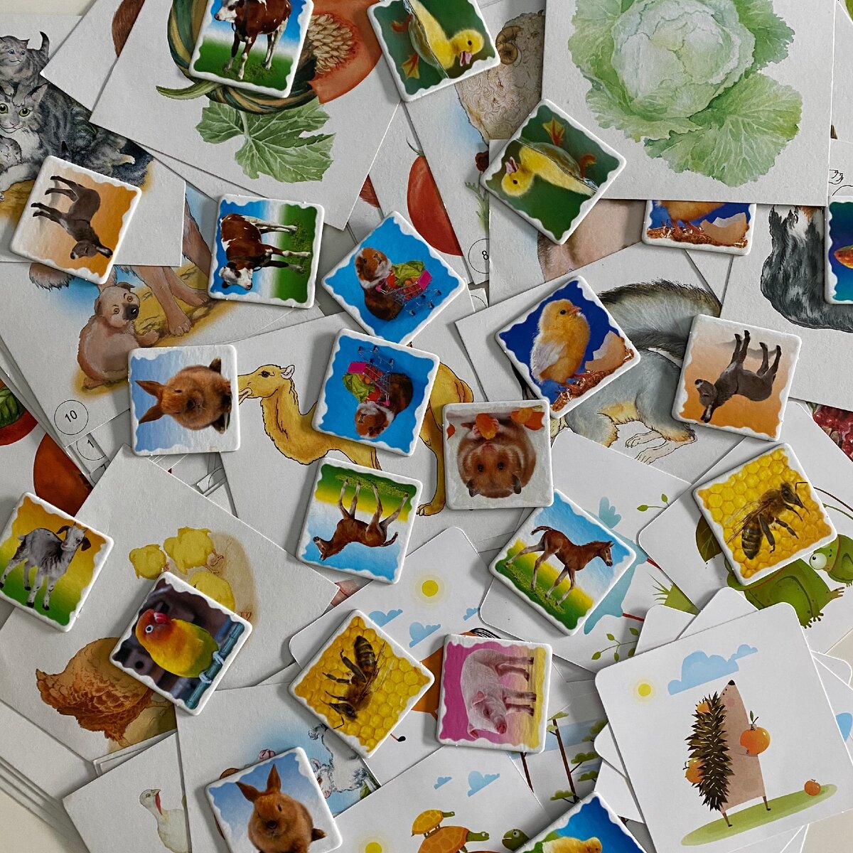 у нас самые простые бюджетные карточки