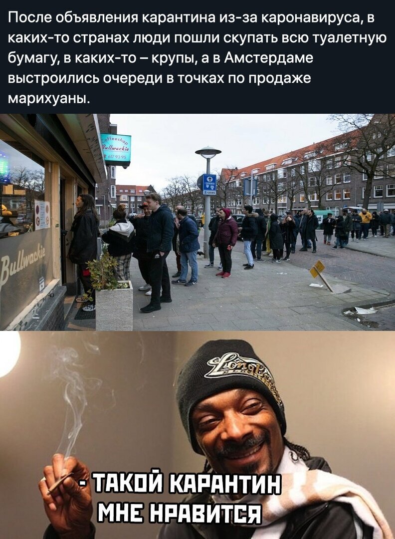 карантин самоизоляция смешные картины