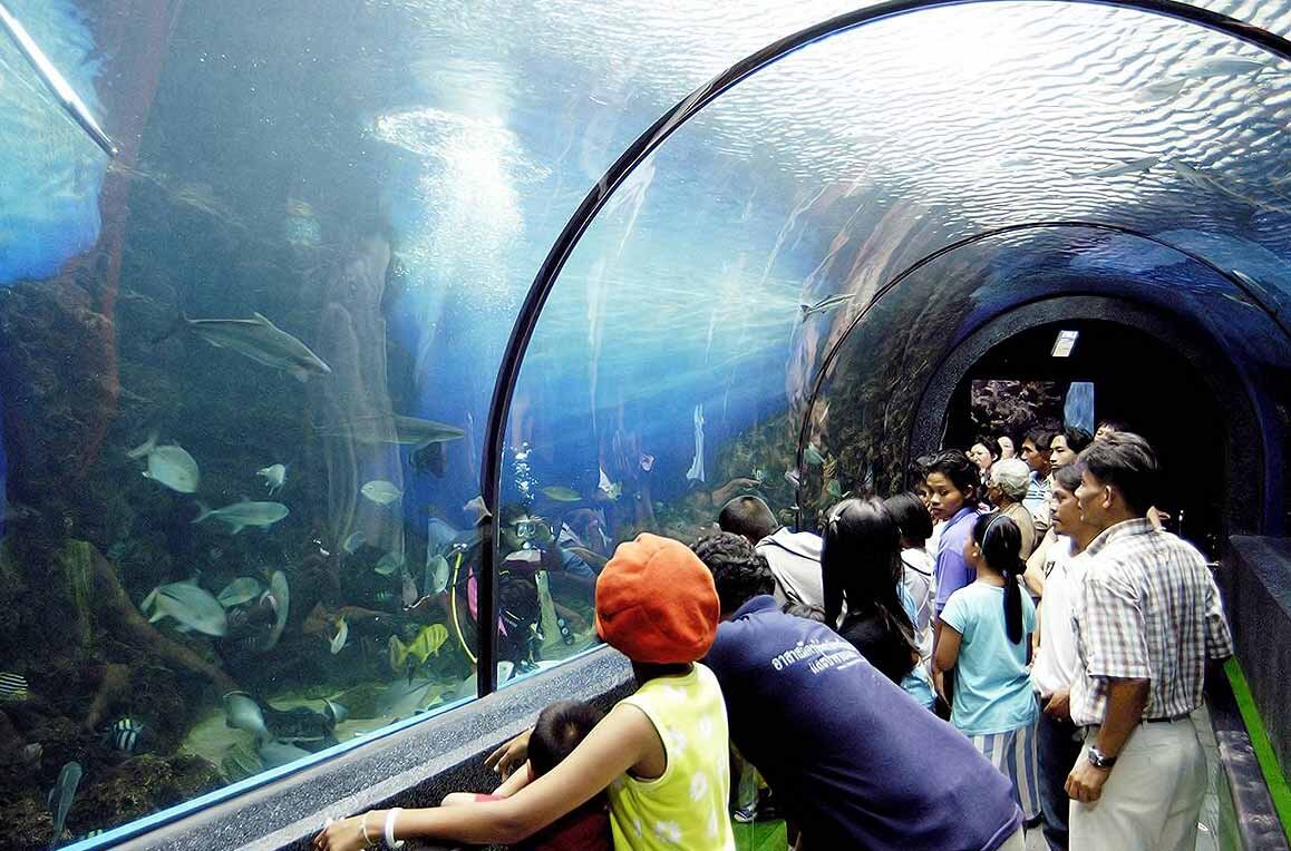 Аквариум на Пхукете / Phuket Aquarium