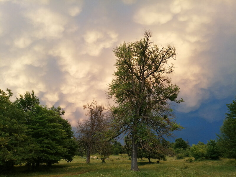 Грязные хлопья облаков на вечернем небе.