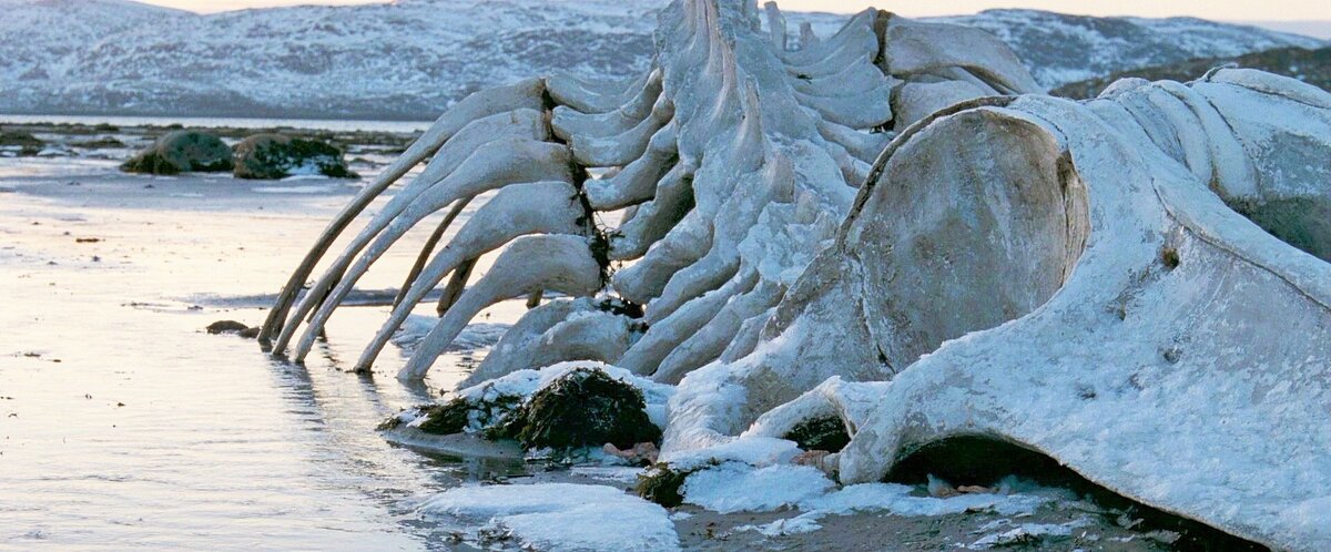 Кадр из фильма "Левиафан".