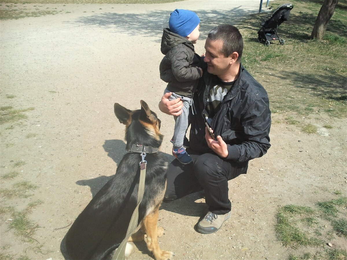 Незнакомый мужчина попросил сфотографировать ребёнка рядом с собакой. Маме показать. Я заодно и на свой телефон запечатлела.