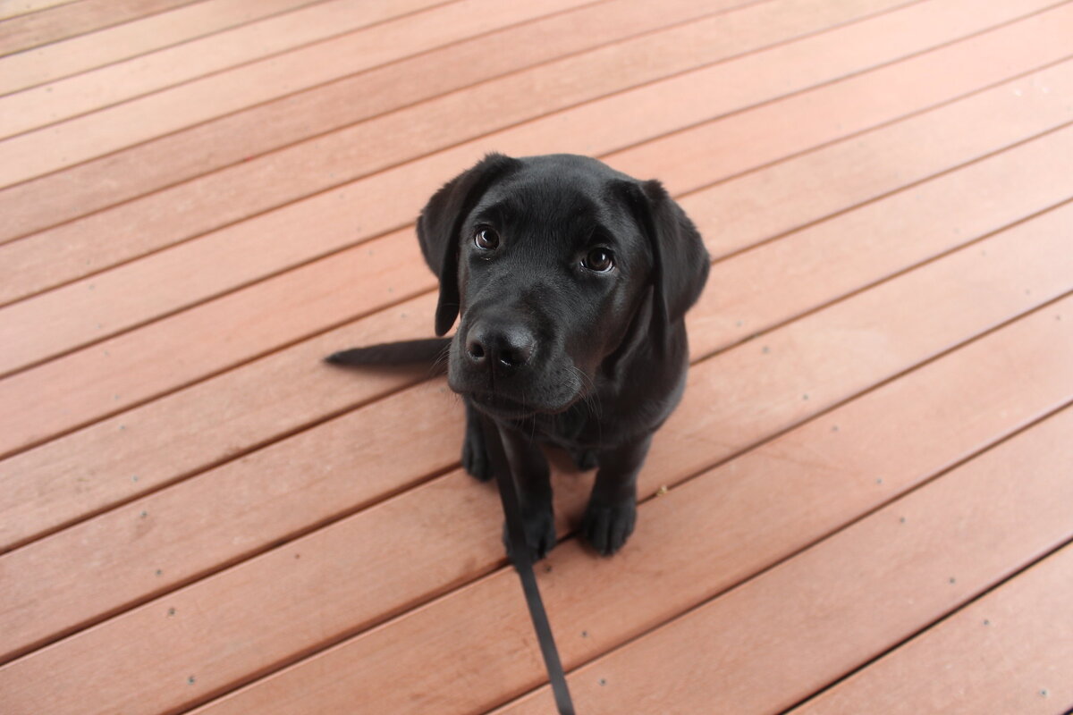 Фотобанк: flickr.com