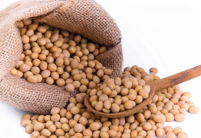 Чунцинский soybean. Соевые бобы семена. Соя фаворит сербия. Соя 4. Соя 4.