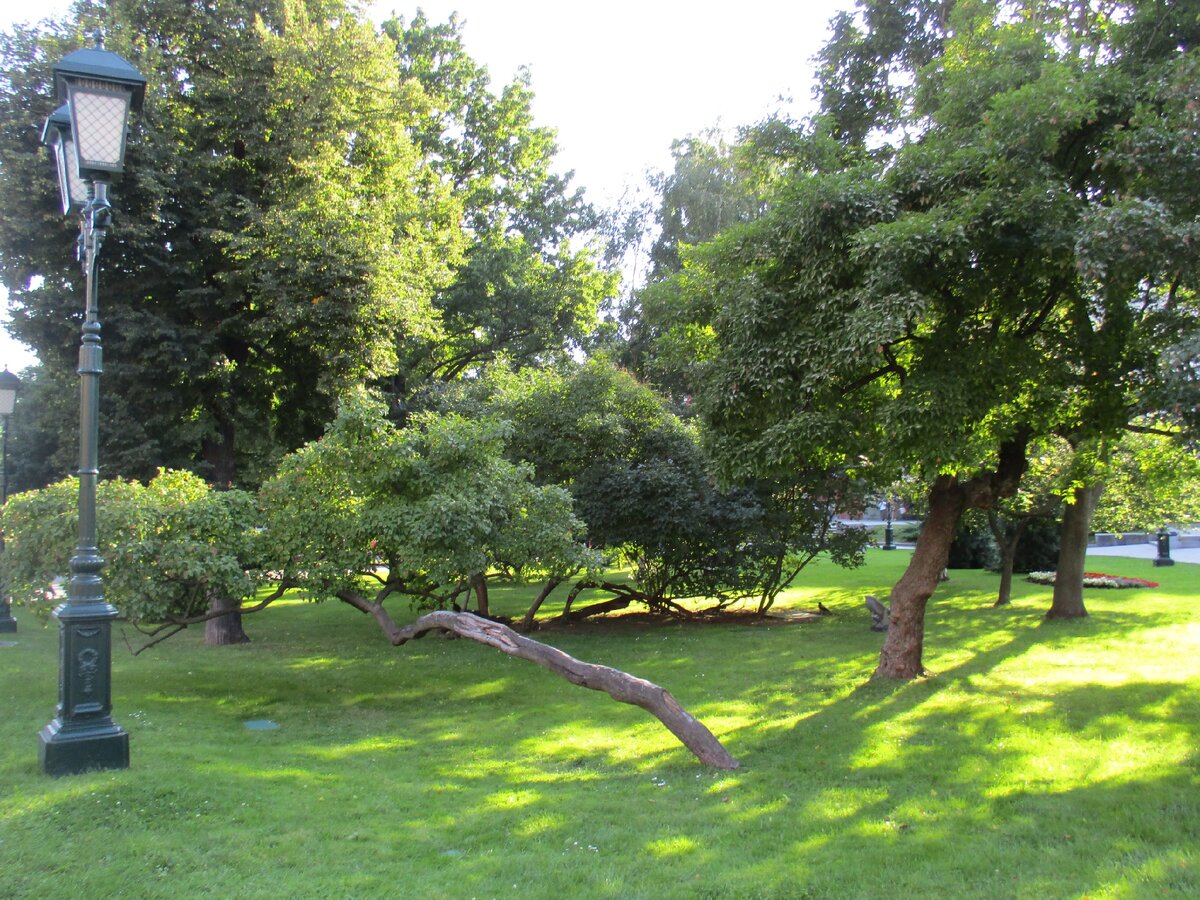 Сад основан   в 1821-1823 годах  в память о войне 1812 года. . В солнечный день мои ноги автоматически идут в это изумительно красивое место.          ФОТО  МОЕ.