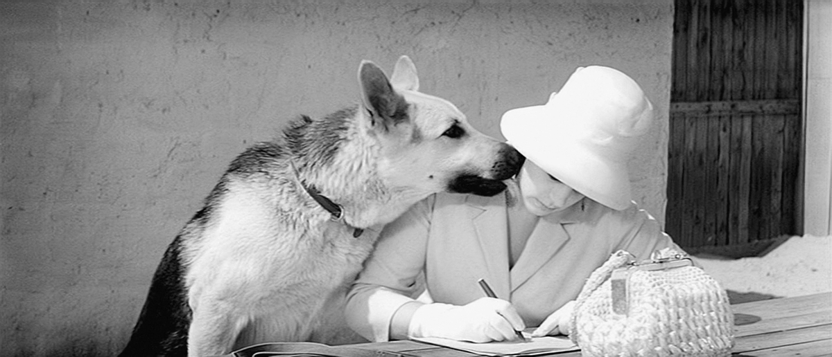 Кадр из фильма "Ко мне, Мухтар".