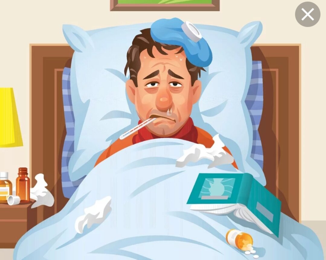 Картинка взята с сервиса Яндекс.Картинки