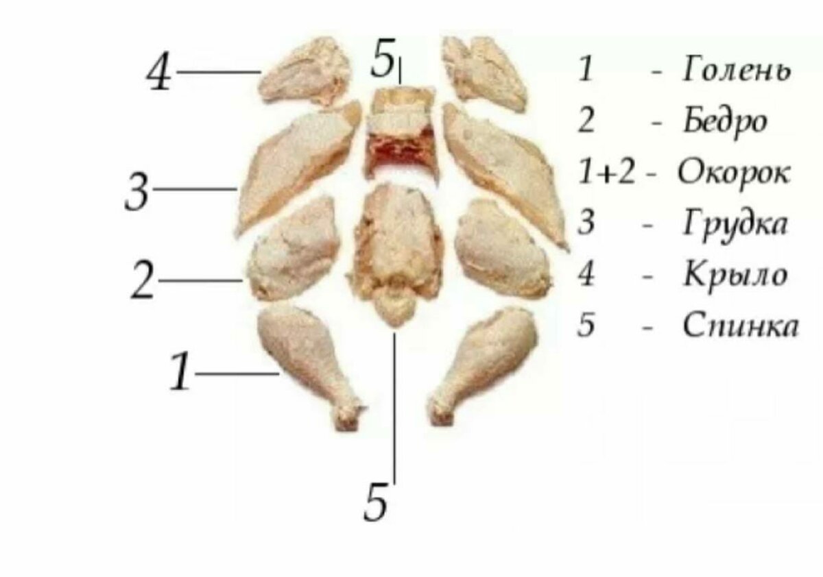 Разделка курицы на части схема фото
