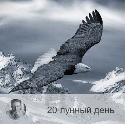 Подписывайтесь на наш канал, друзья!
20-ый лунный день с : -ого по : -ого. 🦅 Символ дня – орёл.
🌞 День духовного преображения, очищения, самый лучший период для голодания и духовного прозрение. Хорошо быть дома, заниматься семьей, изучать священные тексты.
Запрещено есть мясо и напрягать зрение. Обратите внимание на лопатки и область живота. Благоприятен массаж шеи и верхней части спины.
🎂 Люди, рождённые в этот день, могут быть фанатиками, жертвующими с собой ради дела, в другом варианте – диктаторами или лжепророками.
💍 Камень – Яшма.
💊 Процедура дня: массаж.
📿 Практика дня: наблюдение за звёздами, если вы заметили падающую звезду, то смело загадывайте желание - оно обязательно исполнится.
💤 Сегодняшние сны сбываются.

—————
Хочешь консультацию от сильнейшего астролога VK?
Переходи 👉 numeromagic.ru/uslugi