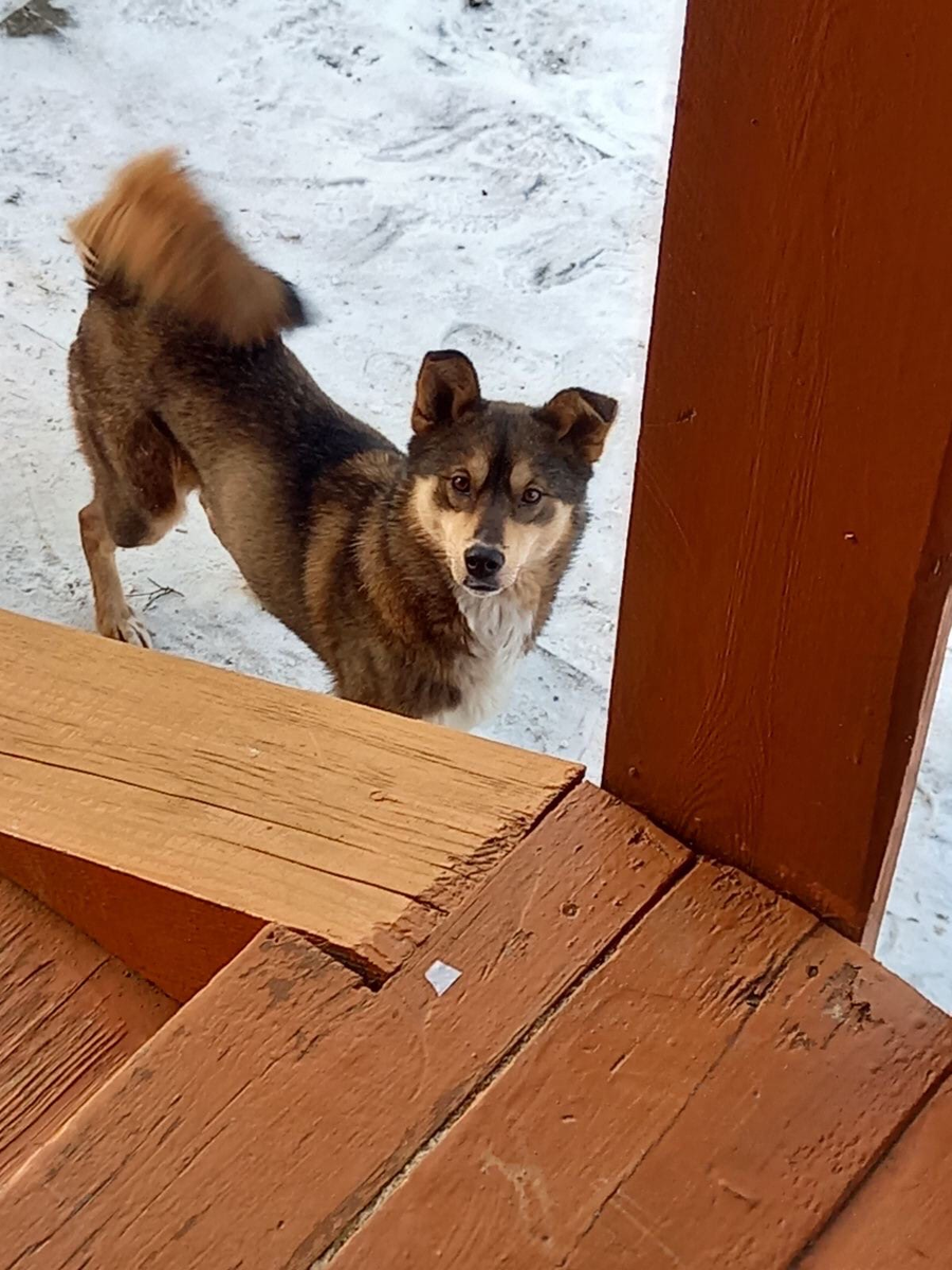 Найда дома.