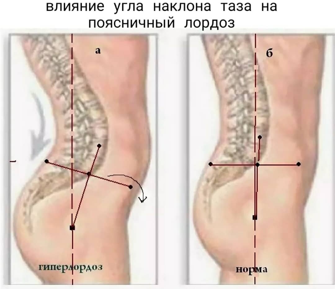 Фото: Яндекс.картинки