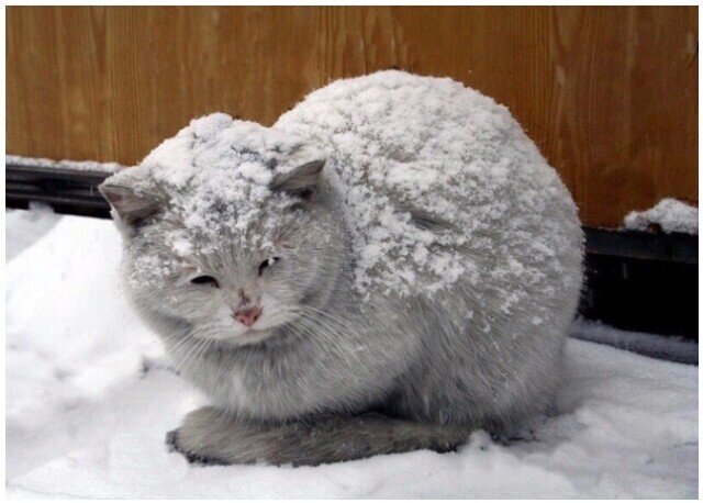 Верьте. Всегда верьте в лучшее. Что бы ни происходило. Просто знайте, что хорошее обязательно будет. В самые тяжёлые времена судьба обязательно улыбнётся вам, и всё будет в порядке.🙏🏻