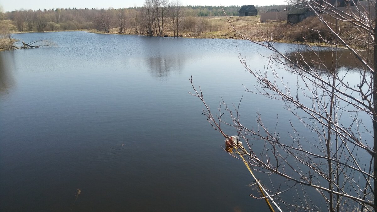 На фото насос моего товарища. Мой насос примерно также плавает, но воооооон там где-то, "прямо по курсу",  около деревьев, на дальней стороне пруда. 