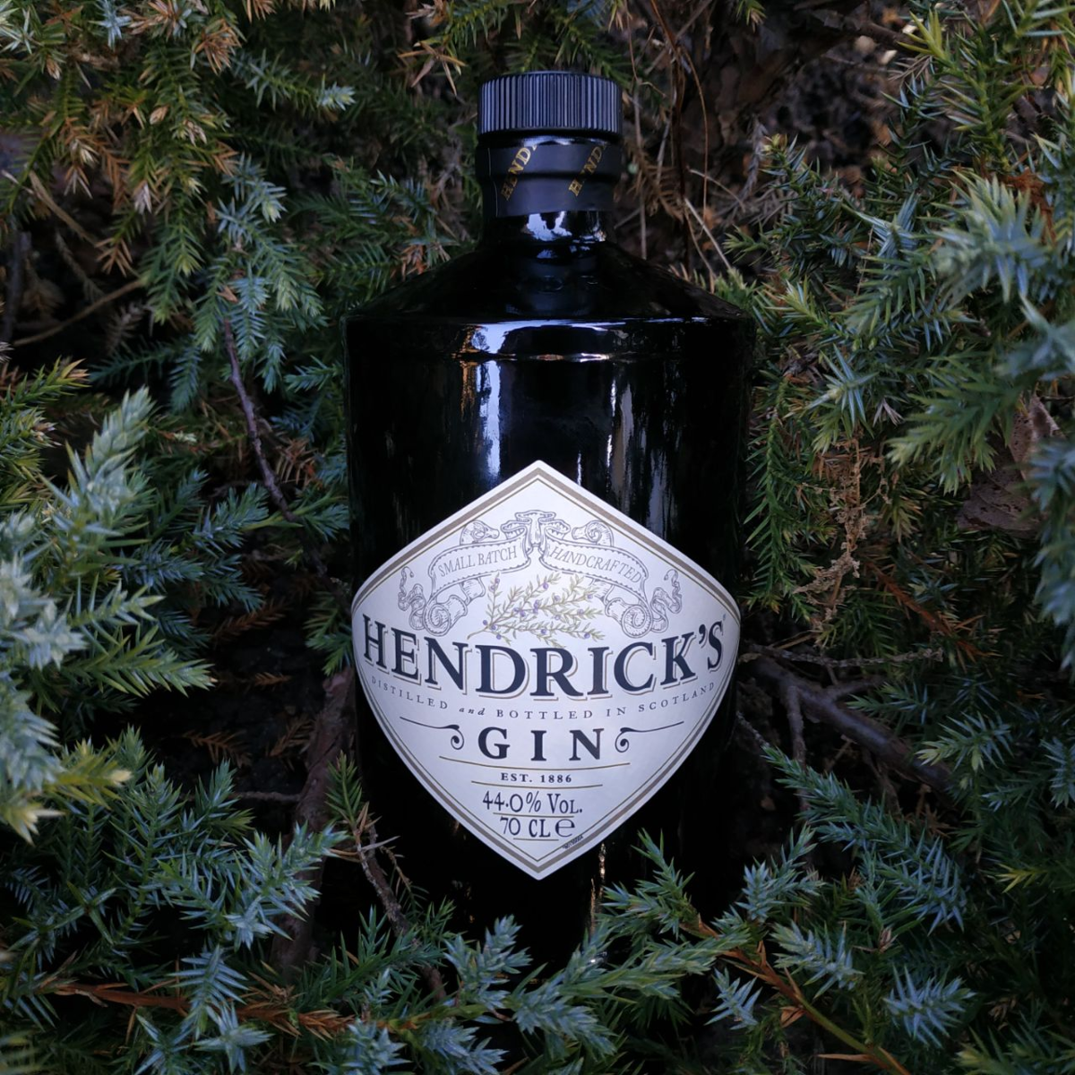 Обзор шотландского джина Hendrick's от компании William Grant&Sons