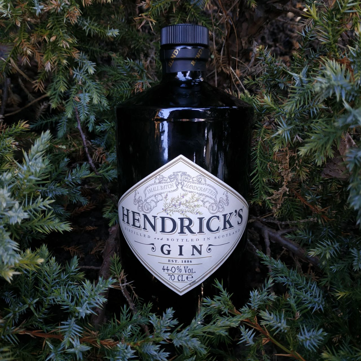 Обзор шотландского джина Hendrick's от компании William Grant&Sons