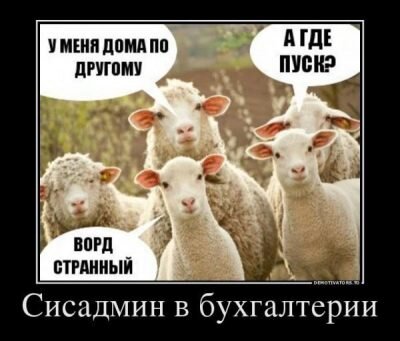 Почти "Наташа и коты"