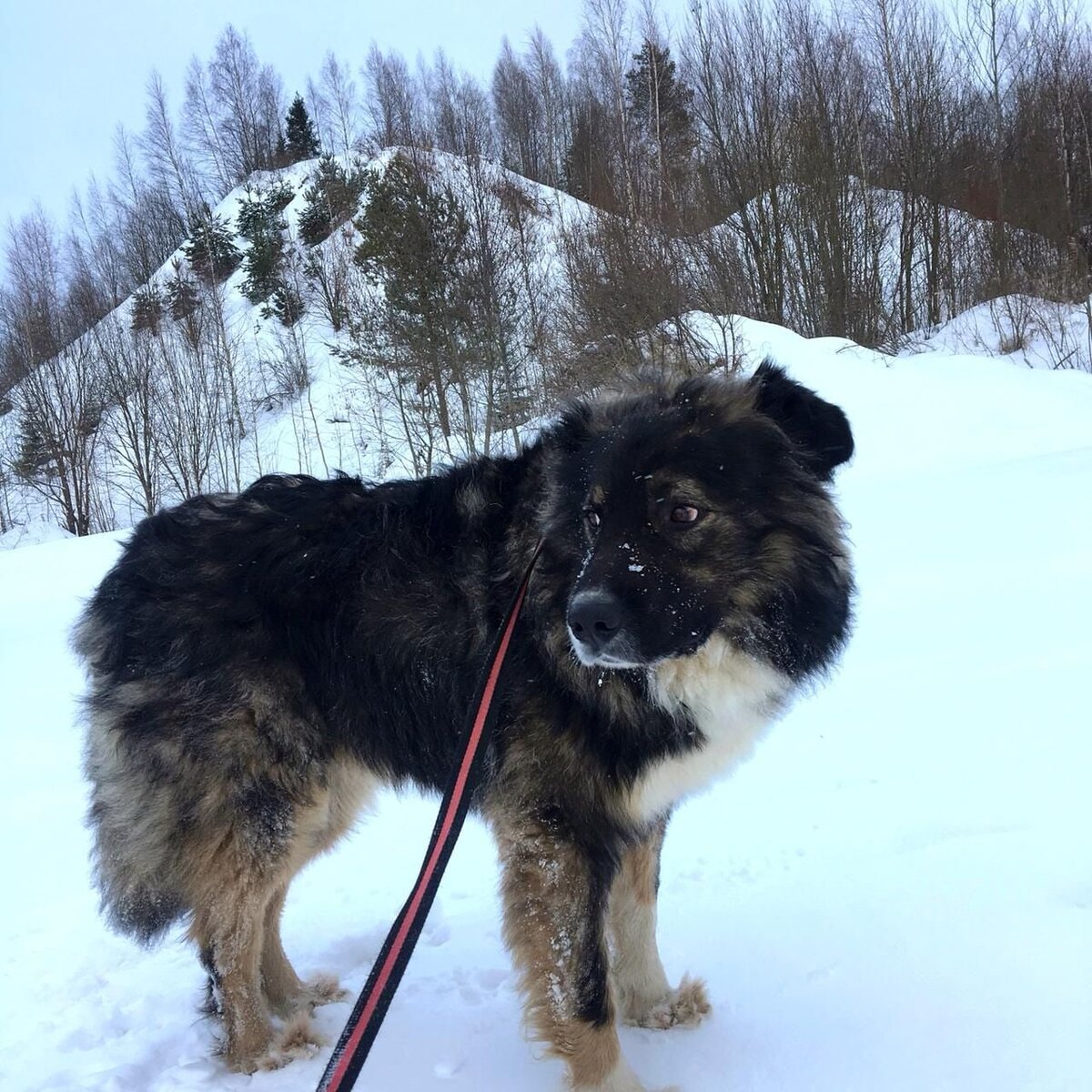 Горы по сравнению с Таху — это просто горки