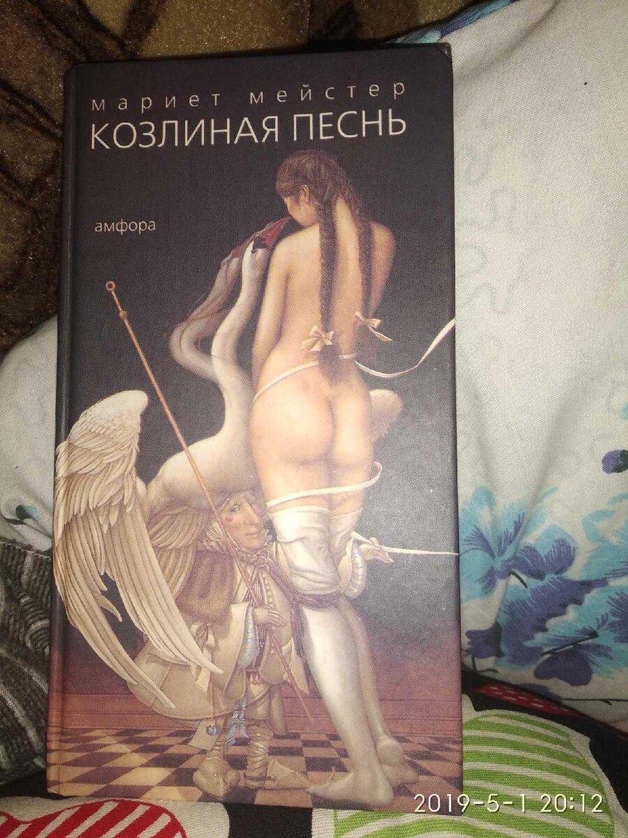 Великолепное произведение Мариет Мейстер, глубоко западает в душу.Уверена,что понравится эта книга не каждому,это как другое кино.Здесь нужно мыслить и сопереживать.Это не дешёвая бульварная пресса или глупые романы однодневки,не популярная литература,это андеграунд-крик и боль души!!!