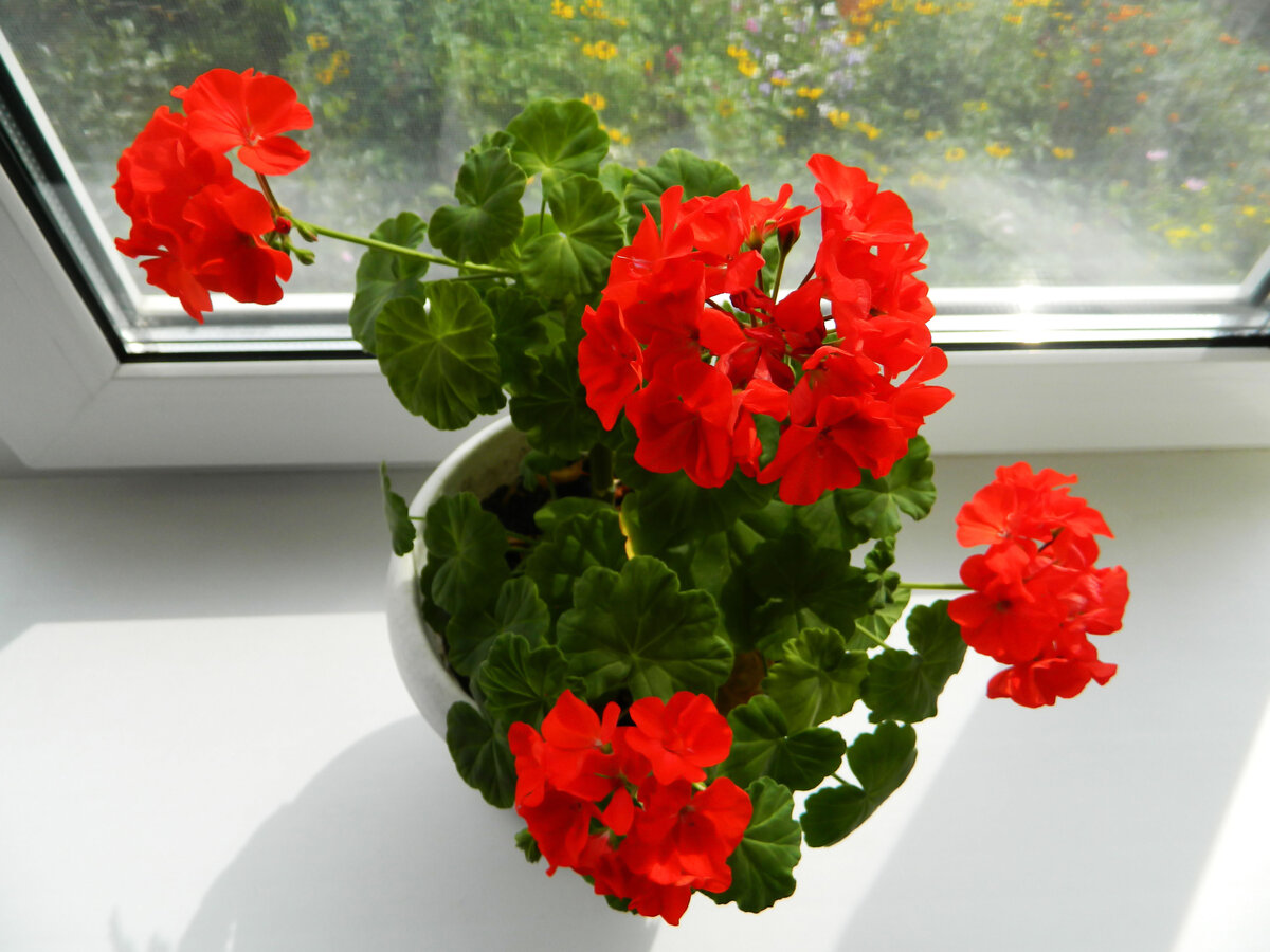 фото автора канала