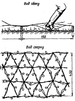 Так называемый "спотыкач". Судя по японским описаниям, такое заграждение прикрывало позиции стрелково-пулемëтного батальона 9-й мббр. 