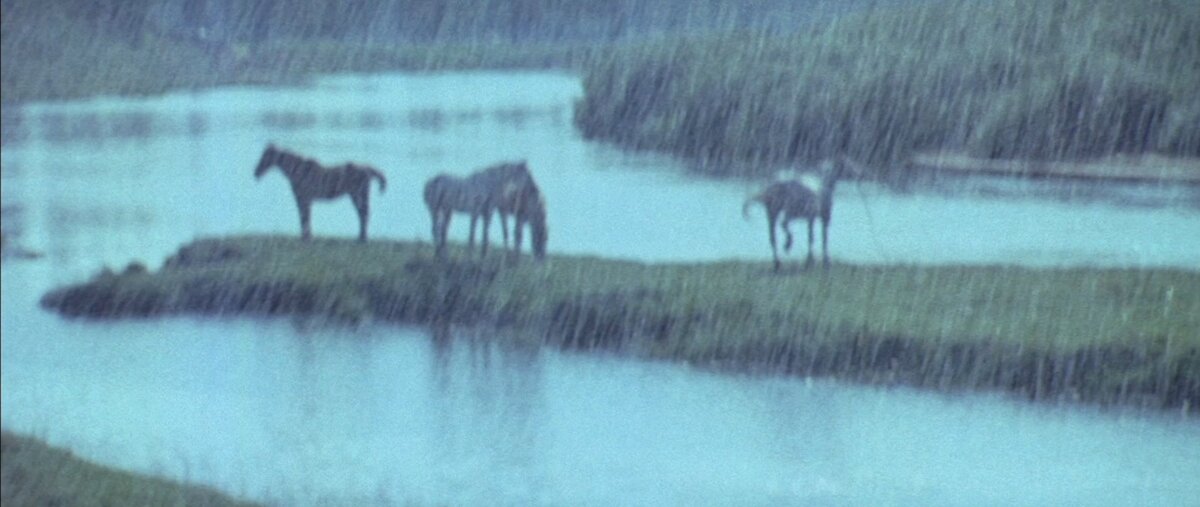 Кадр из фильма "Андрей Рублёв"