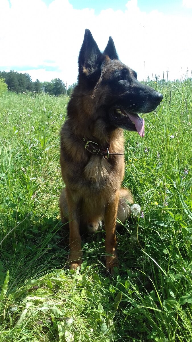 Эрих, май или июнь 2019. Фото автора. 