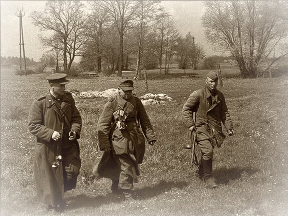 Взял в плен немцев. Пленные бойцы РККА В 1944 году.