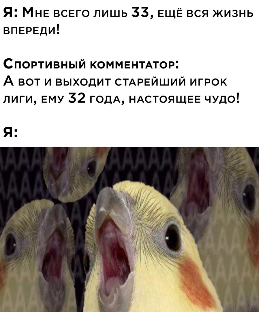 Приветствую вас друзья. Для вашего внимания собран Юмор со всего Мира. Всем хорошего настроения. Не забывайте подписаться Мир Юмора и поддержать канал лайком.-2