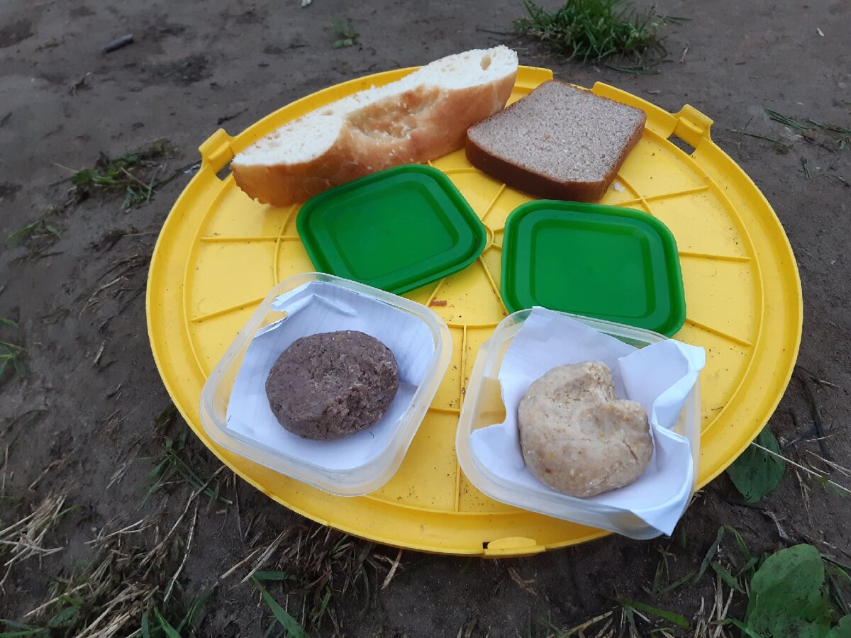 насадки на карася