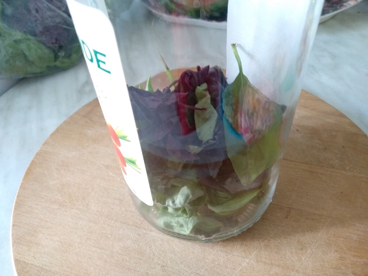 Листья базилика на дне стеклянной ёмкости