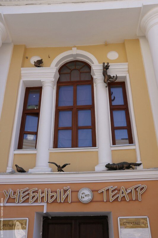 02. Но залез он не просто так, а вместе с напарником он охотится на птичек
