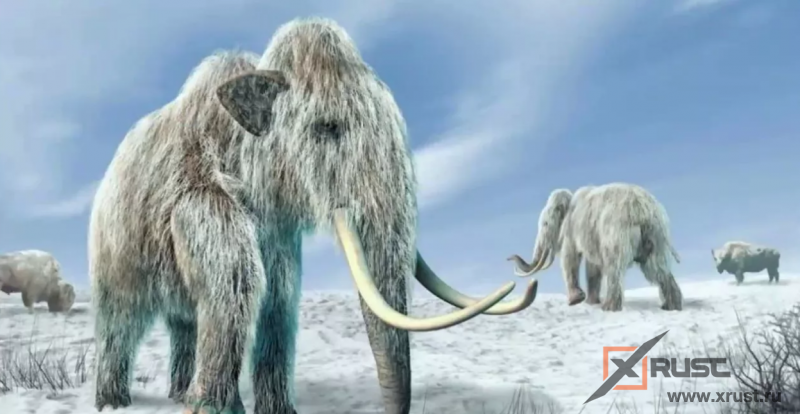 В Якутии предложили возродить мамонтов