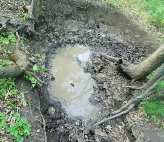 Добавьте описание