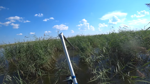 Вечерний туман дымился в камыше и легким паром вился над водой схема