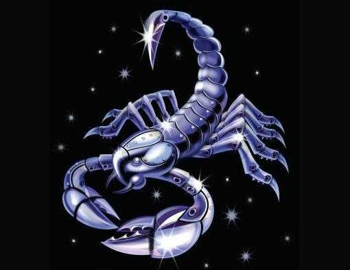 Совместимость Скорпиона со всеми знаками зодиака